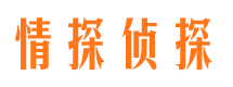 西昌市调查公司